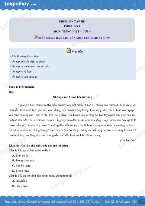 Đề ôn hè Tiếng Việt 4 lên 5 có lời giải chi tiết - Đề 9